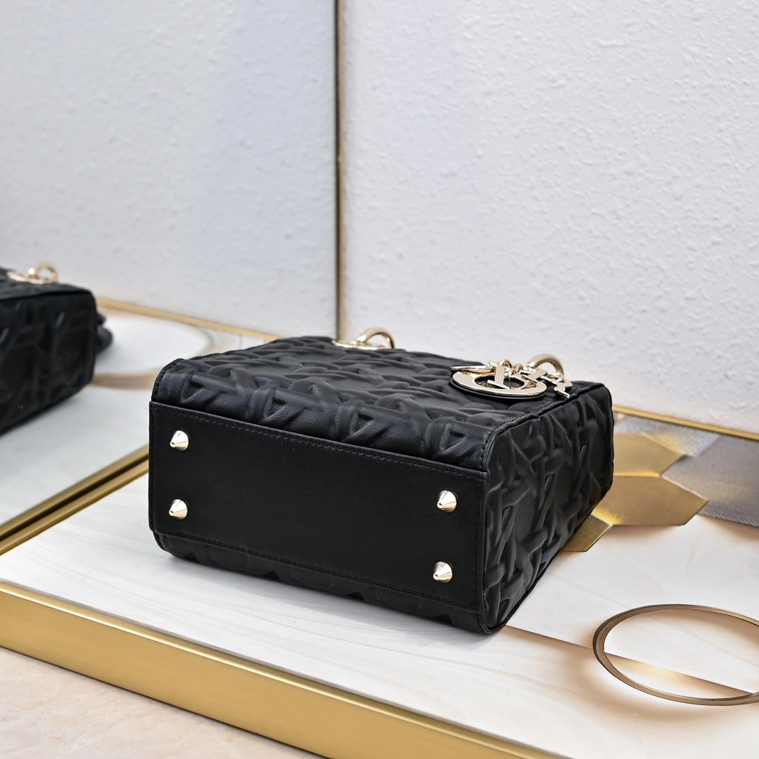 Resilient 1916 Christian Dior AAA Quality Handbags For Women