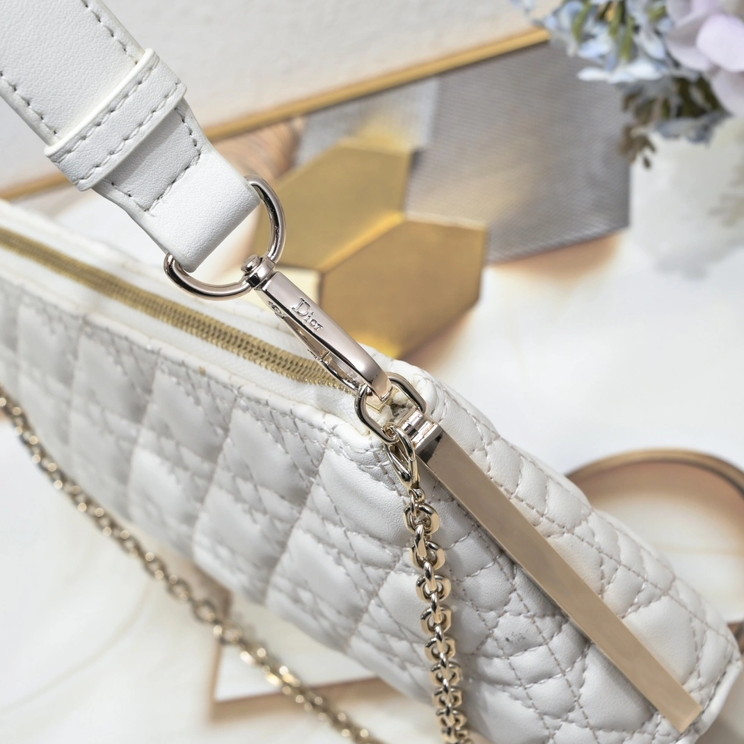 Resilient 2529 Christian Dior AAA Quality Shoulder Bags For Women