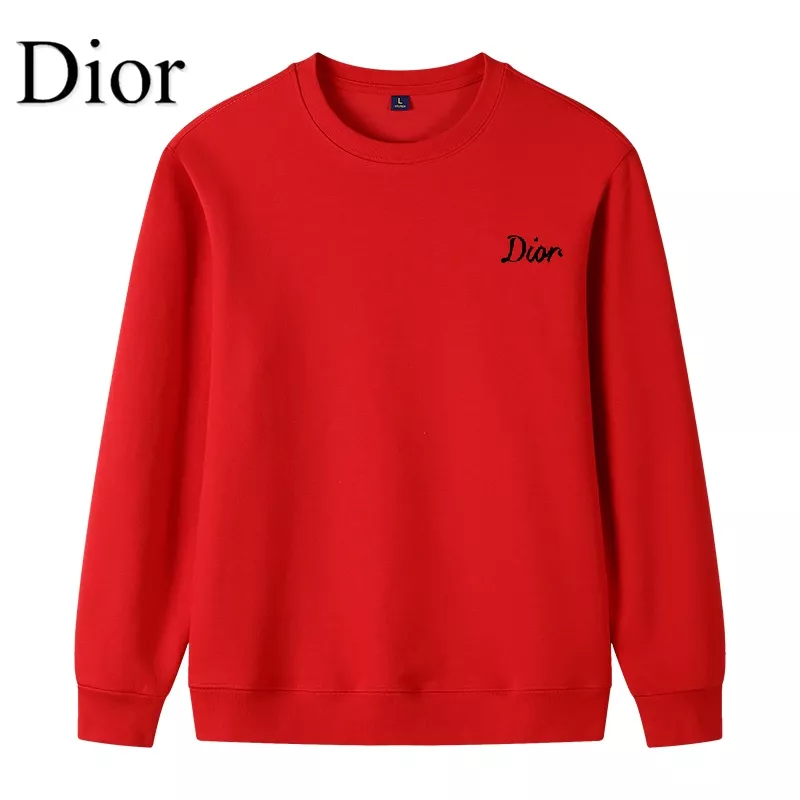 Resilient 291 Christian Dior Hoodies Long Sleeved For Men