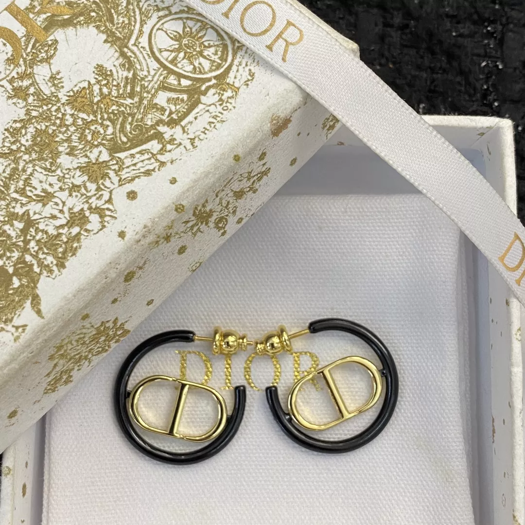 Resilient 3799 Christian Dior Earrings For Women
