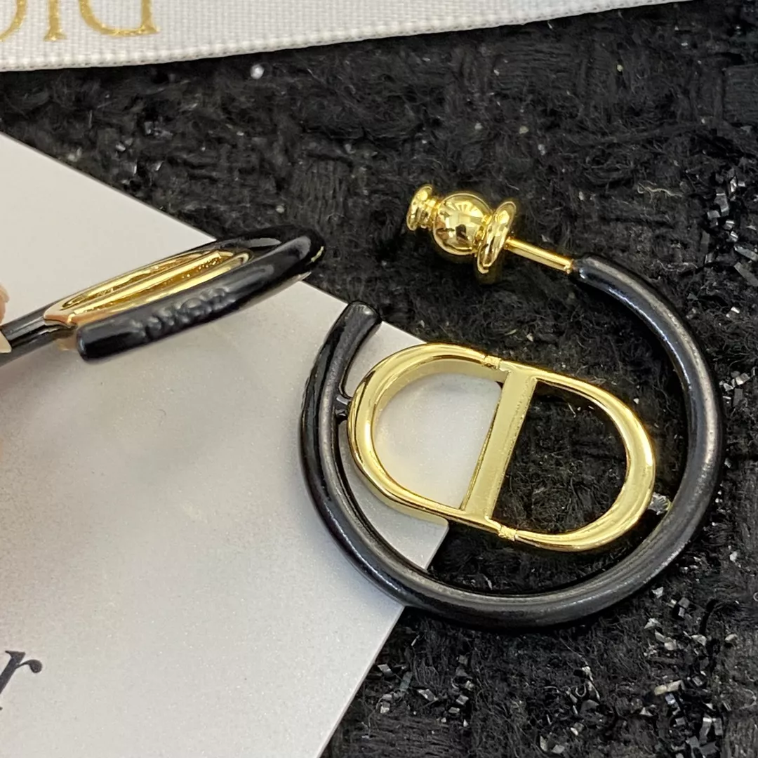 Resilient 3799 Christian Dior Earrings For Women