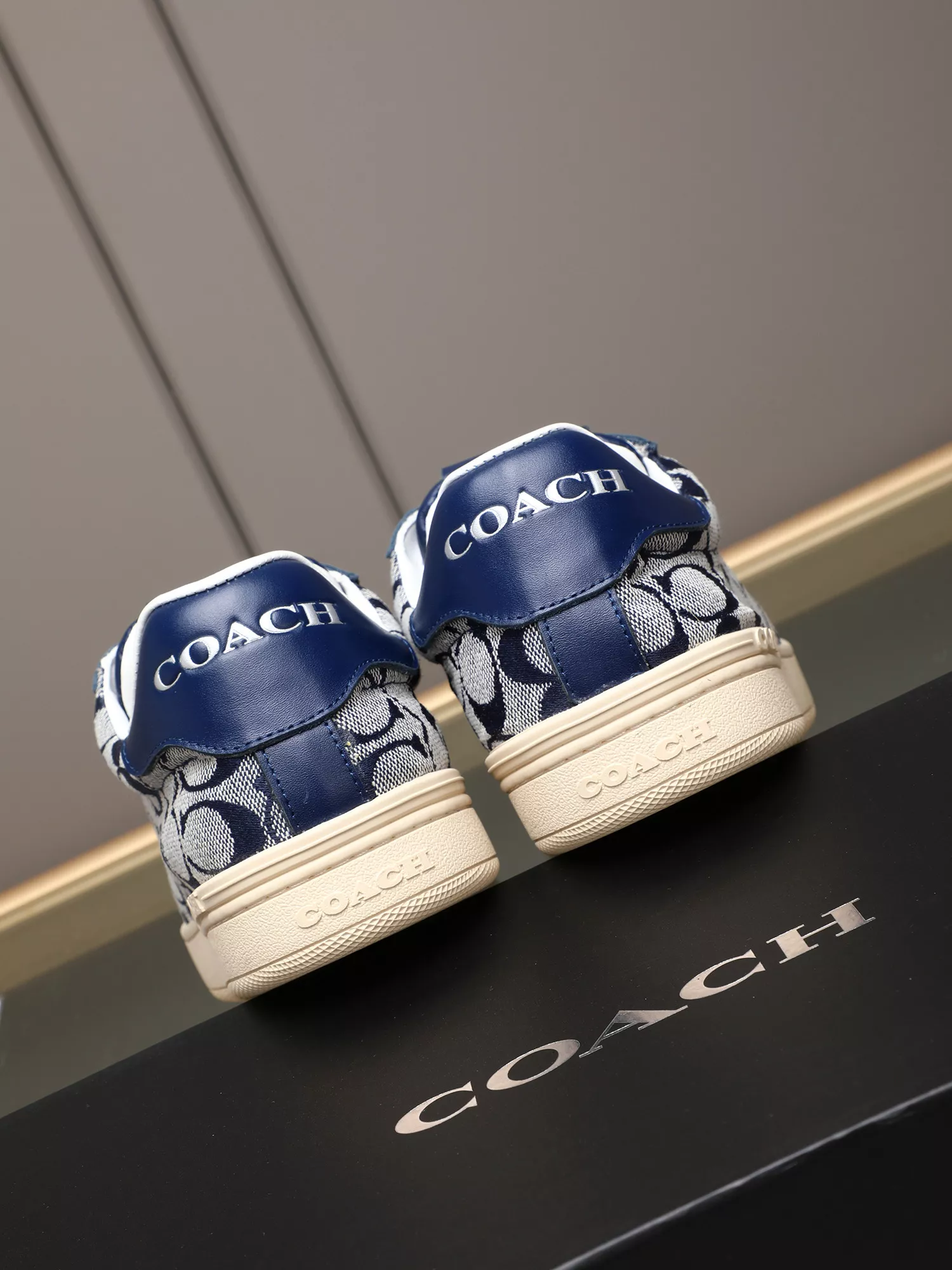 Resilient 4415 Coach Fashion Shoes For Men