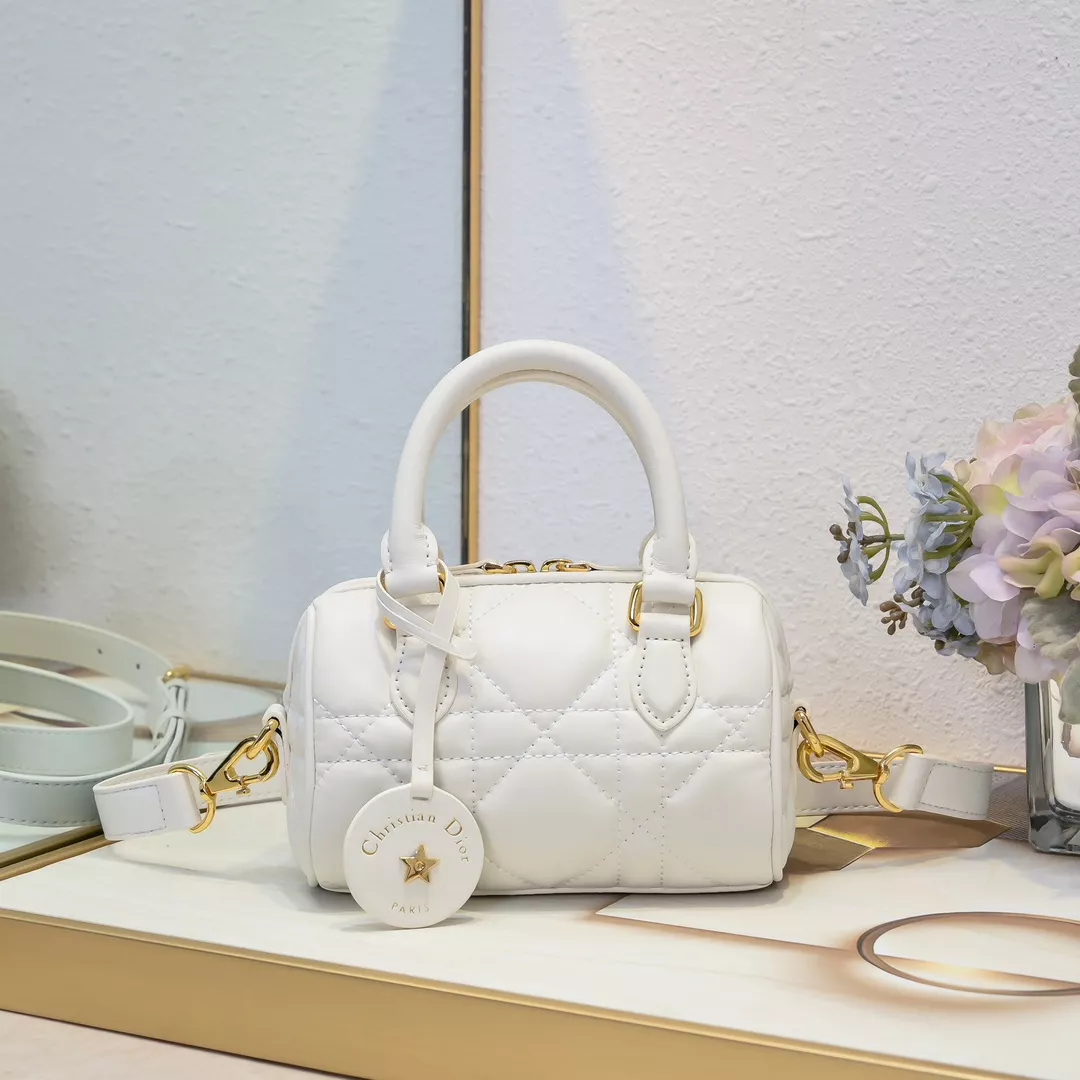 Resilient 4989 Christian Dior AAA Handbags For Women
