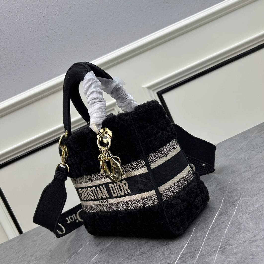 Resilient 5213 Christian Dior AAA Quality Handbags For Women