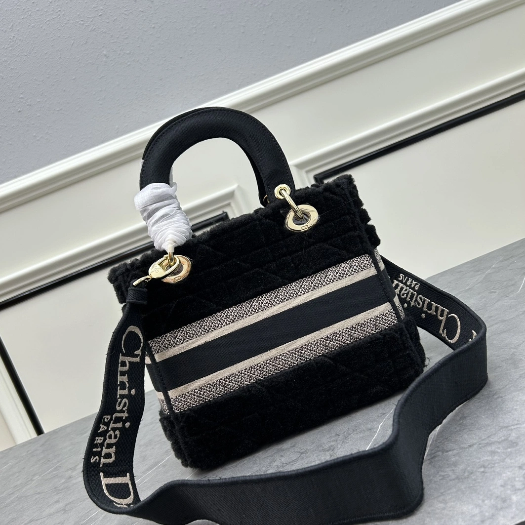Resilient 5213 Christian Dior AAA Quality Handbags For Women