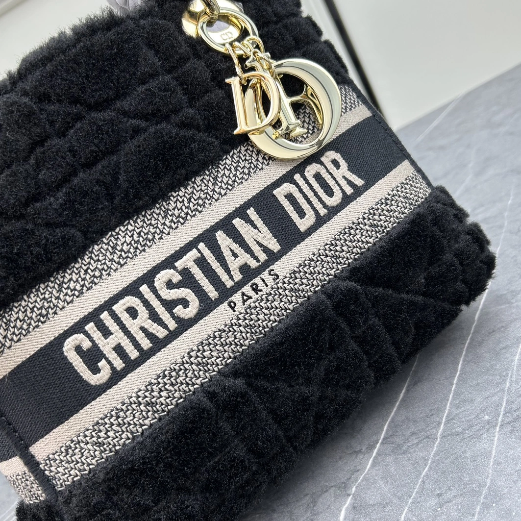 Resilient 5213 Christian Dior AAA Quality Handbags For Women