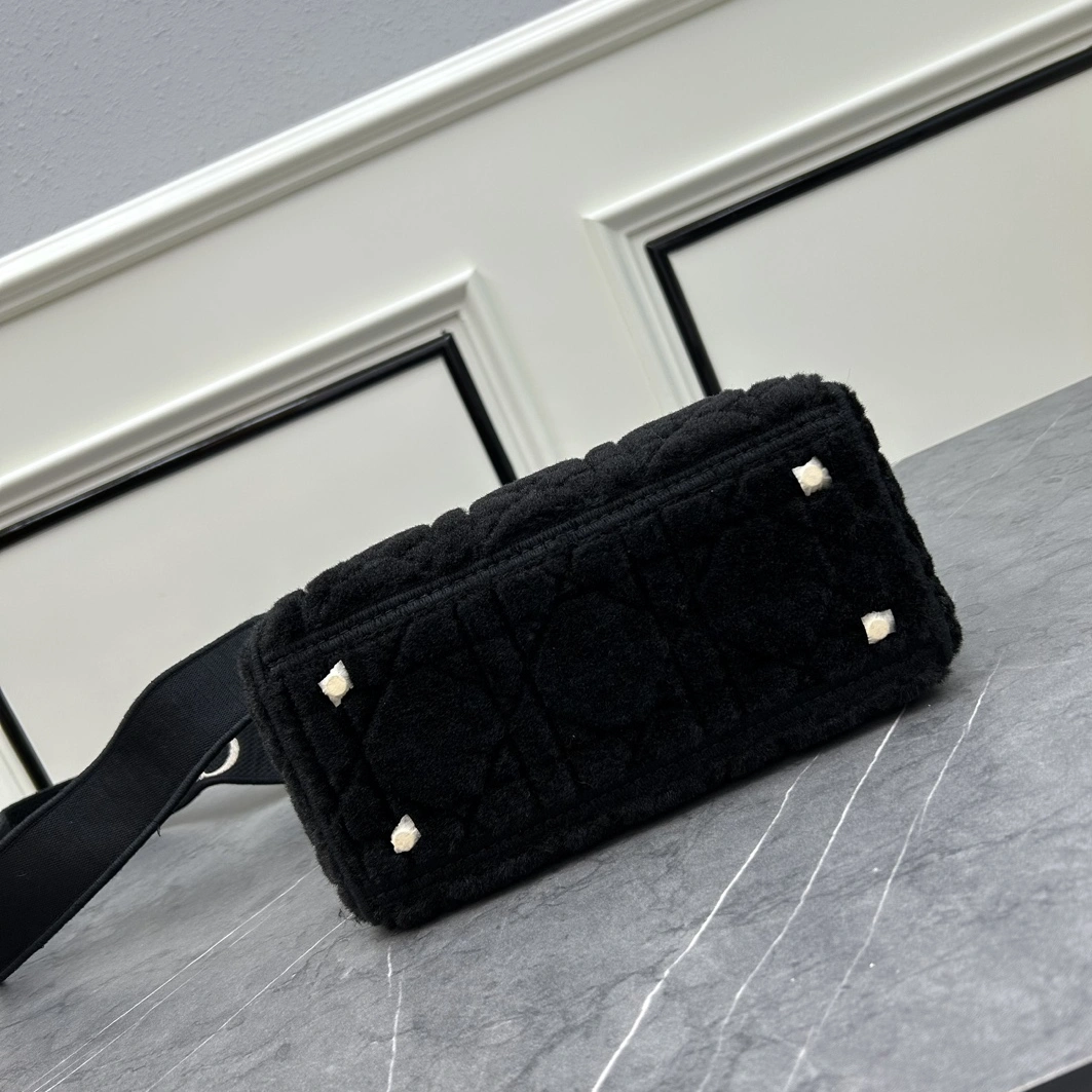 Resilient 5213 Christian Dior AAA Quality Handbags For Women