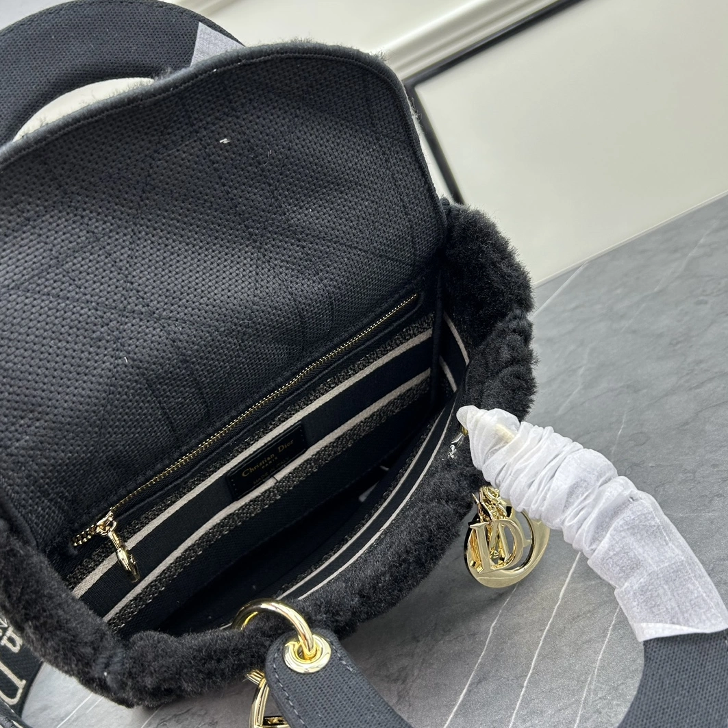 Resilient 5213 Christian Dior AAA Quality Handbags For Women