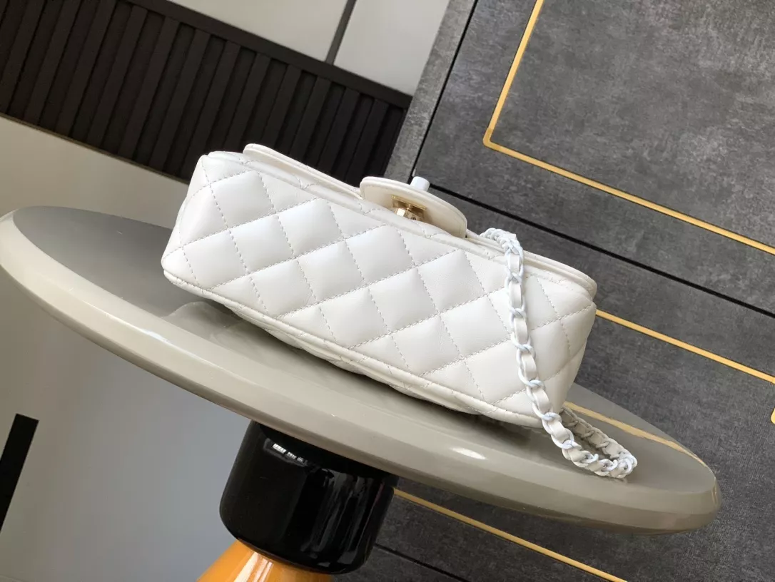 Resilient 5693 Chanel AAA Quality Messenger Bags For Women