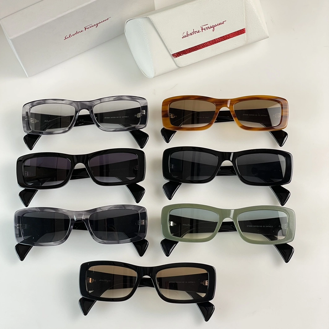 Resilient 5729 Salvatore Ferragamo AAA Quality Sunglasses