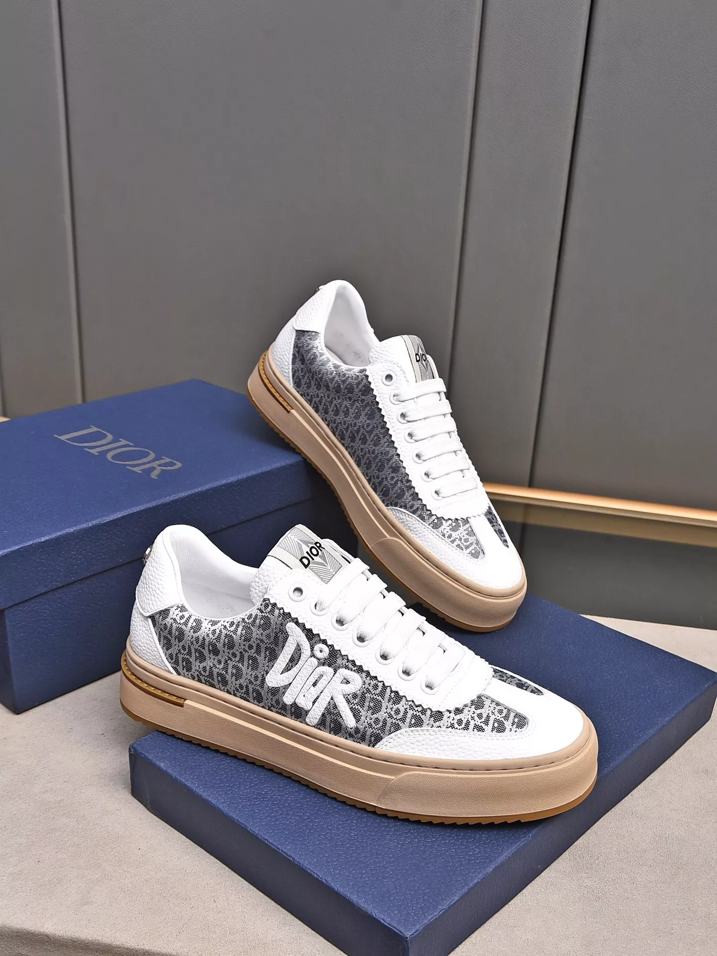 Resilient 6202 Christian Dior Casual Shoes For Men