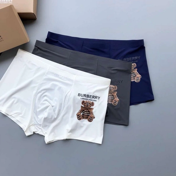 Resilient 6419 Burberry Underwear For Men