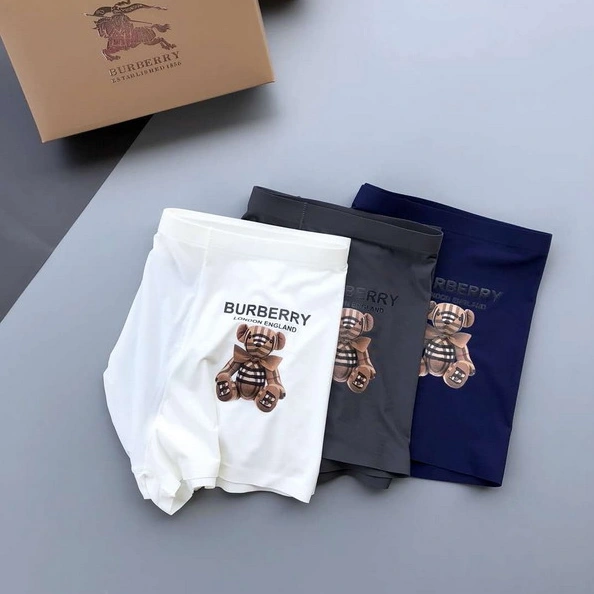 Resilient 6419 Burberry Underwear For Men