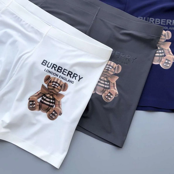 Resilient 6419 Burberry Underwear For Men