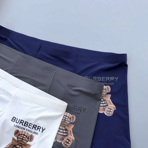 Resilient 6419 Burberry Underwear For Men