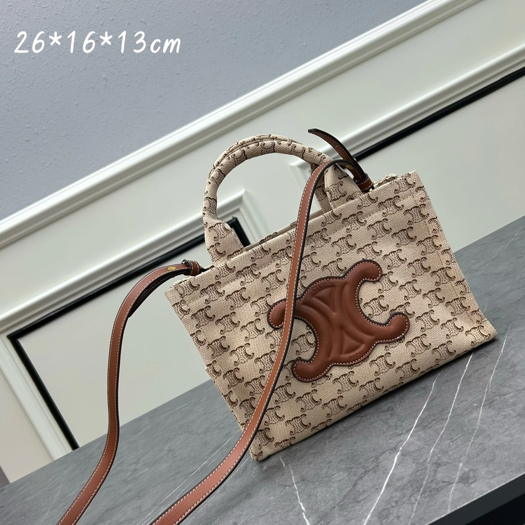 Resilient 6435 Celine AAA Quality Handbags For Women