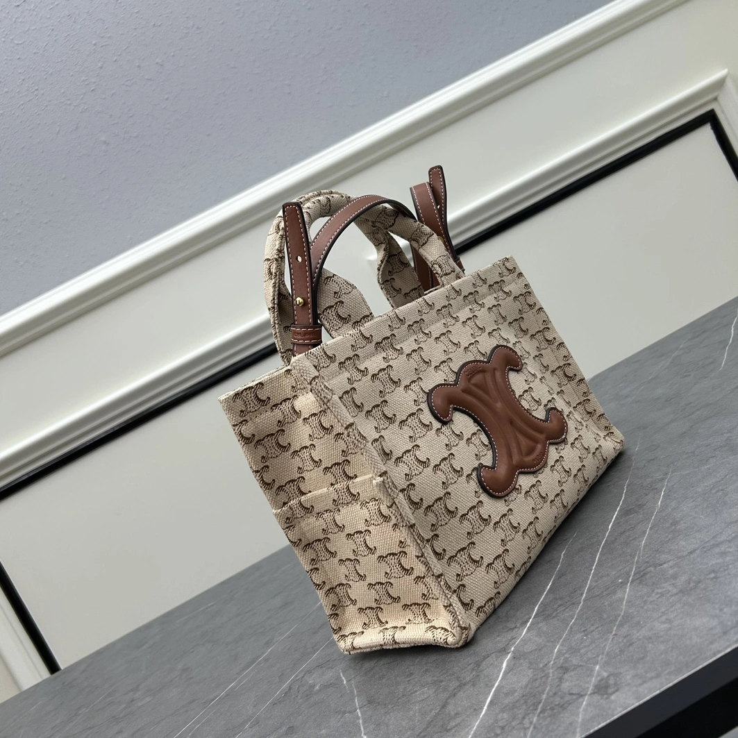 Resilient 6435 Celine AAA Quality Handbags For Women