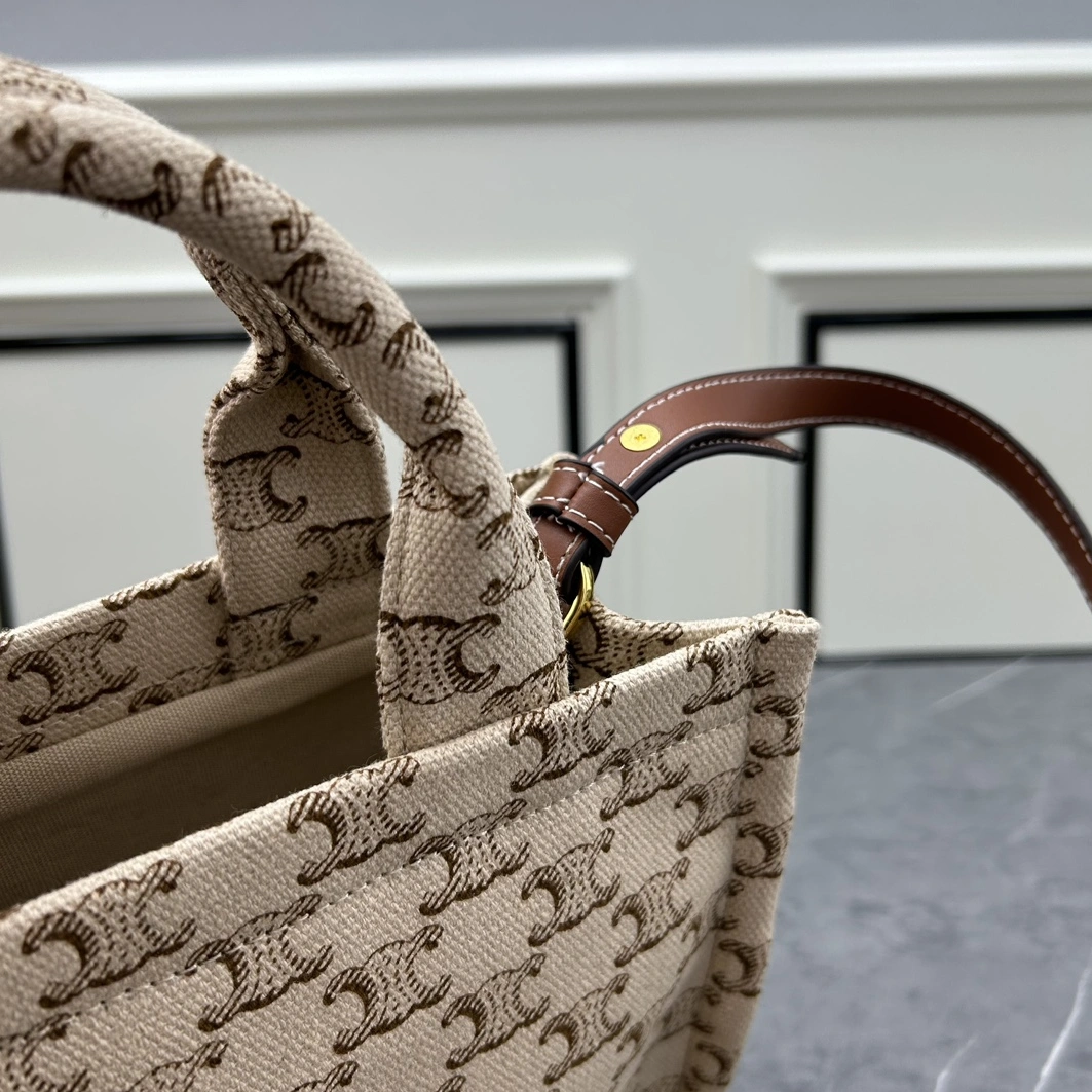 Resilient 6435 Celine AAA Quality Handbags For Women