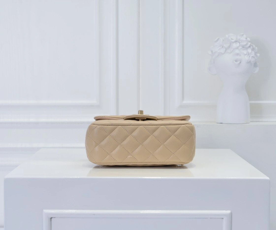 Resilient 7764 Chanel AAA Quality Messenger Bags For Women