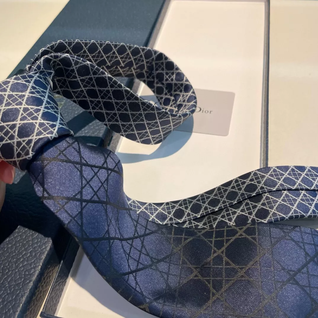 Resilient 9896 Christian Dior Necktie