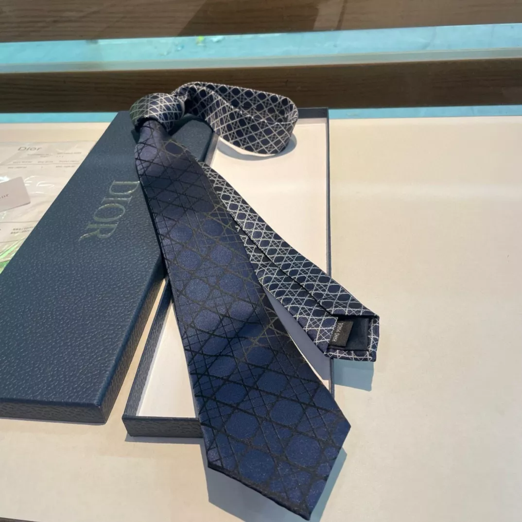 Resilient 9896 Christian Dior Necktie