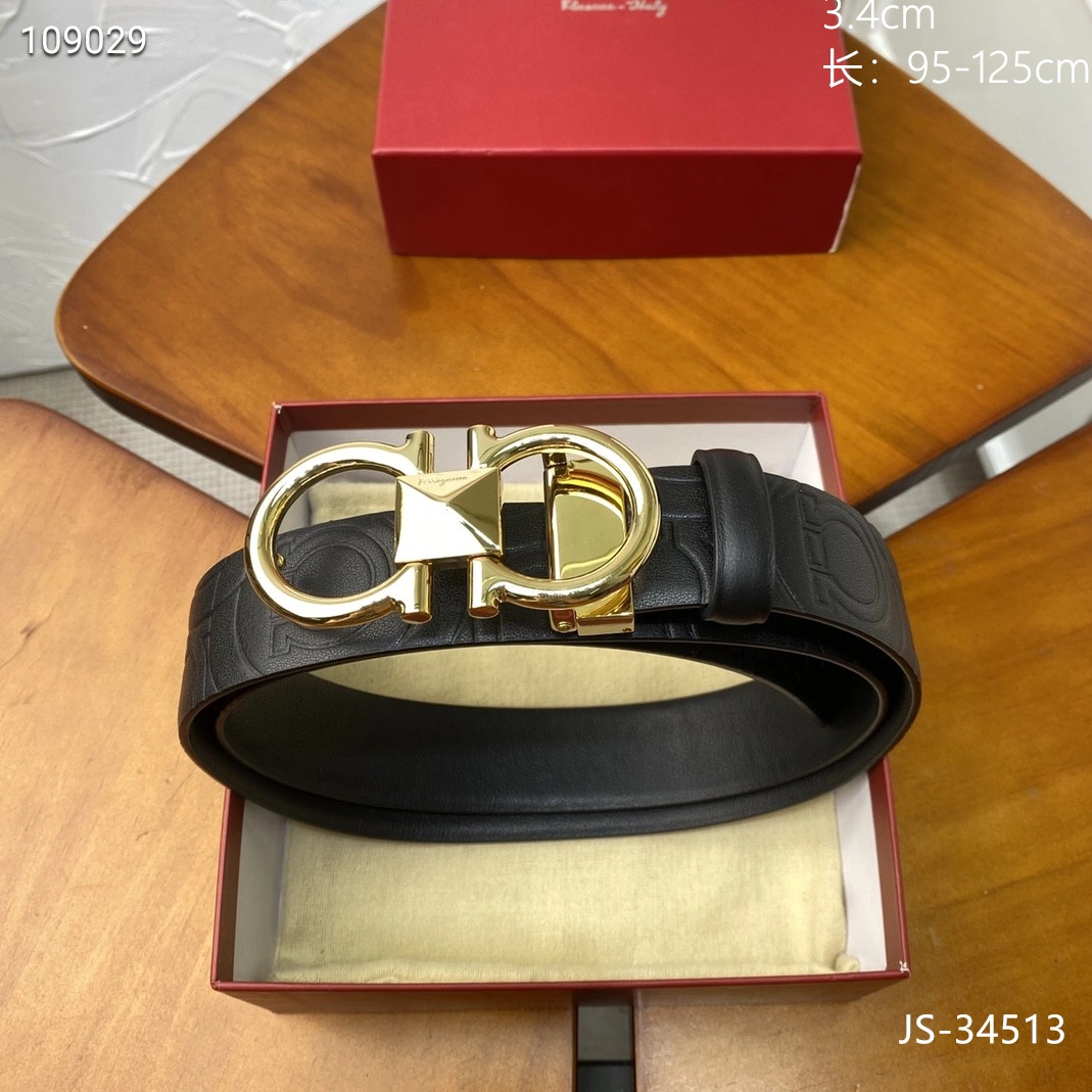 Salvatore Ferragamo AAA  Belts GoAnywhere 5047