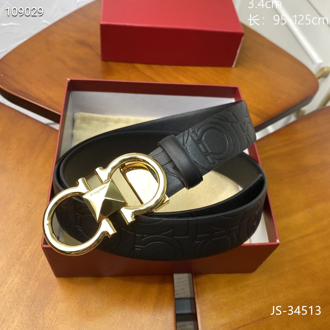 Salvatore Ferragamo AAA  Belts GoAnywhere 5047