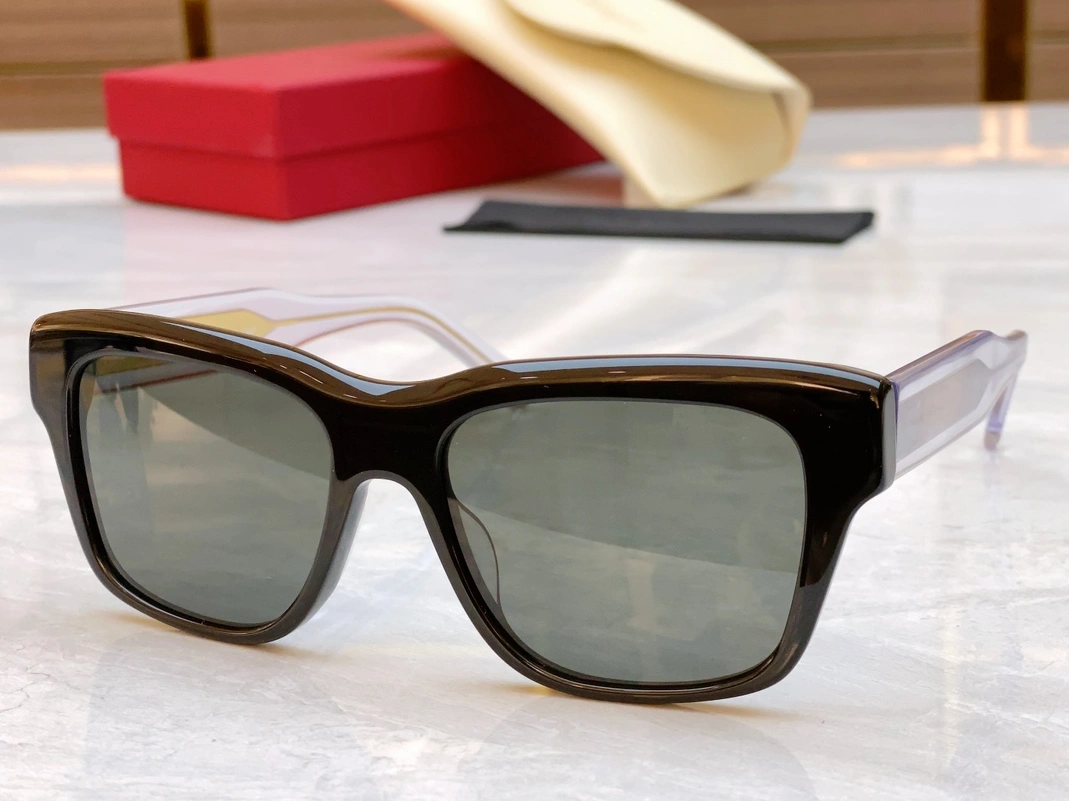 Salvatore Ferragamo AAA Quality Sunglasses Bold 845