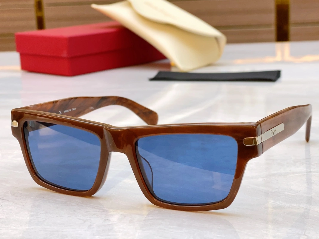 Salvatore Ferragamo AAA Quality Sunglasses DailyWear 2175