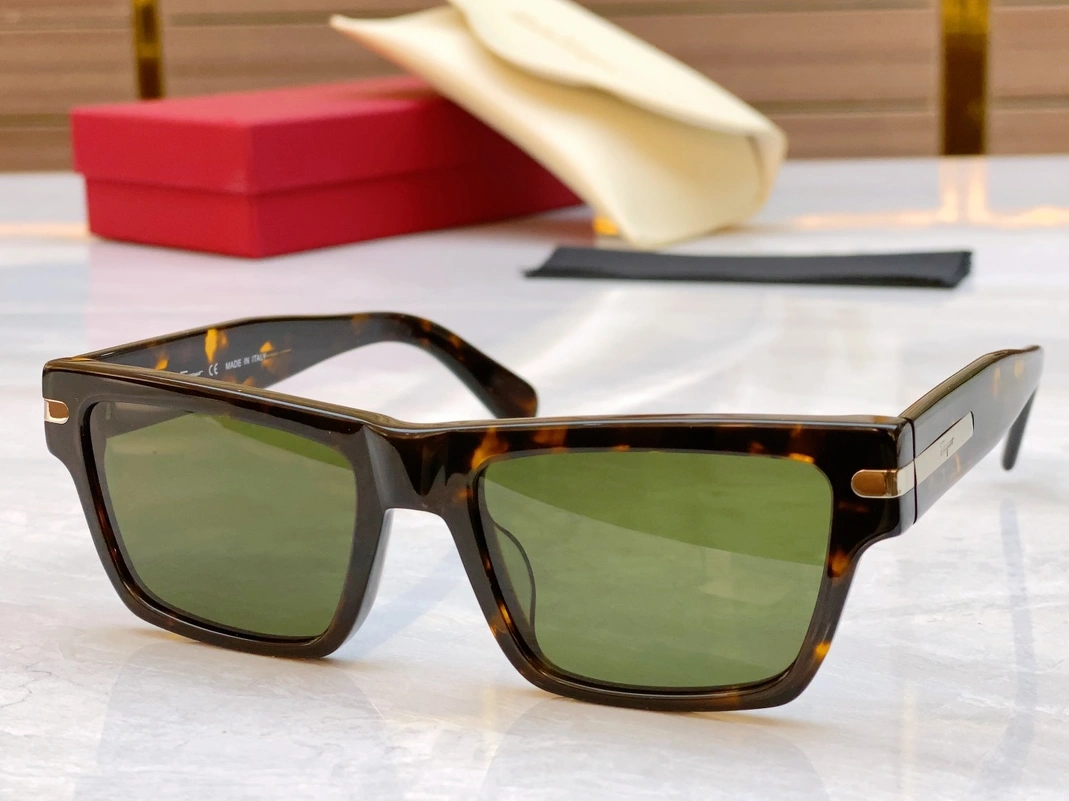 Salvatore Ferragamo AAA Quality Sunglasses DailyWear 3261