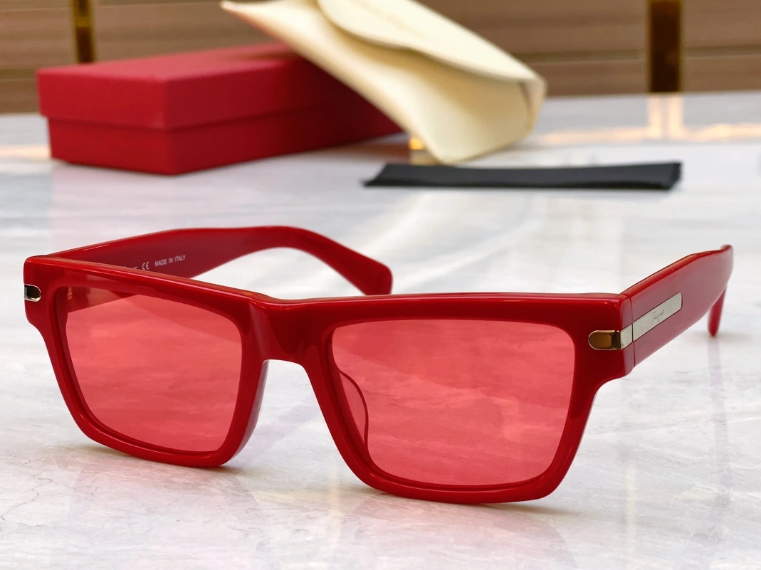 Salvatore Ferragamo AAA Quality Sunglasses Soft 9804