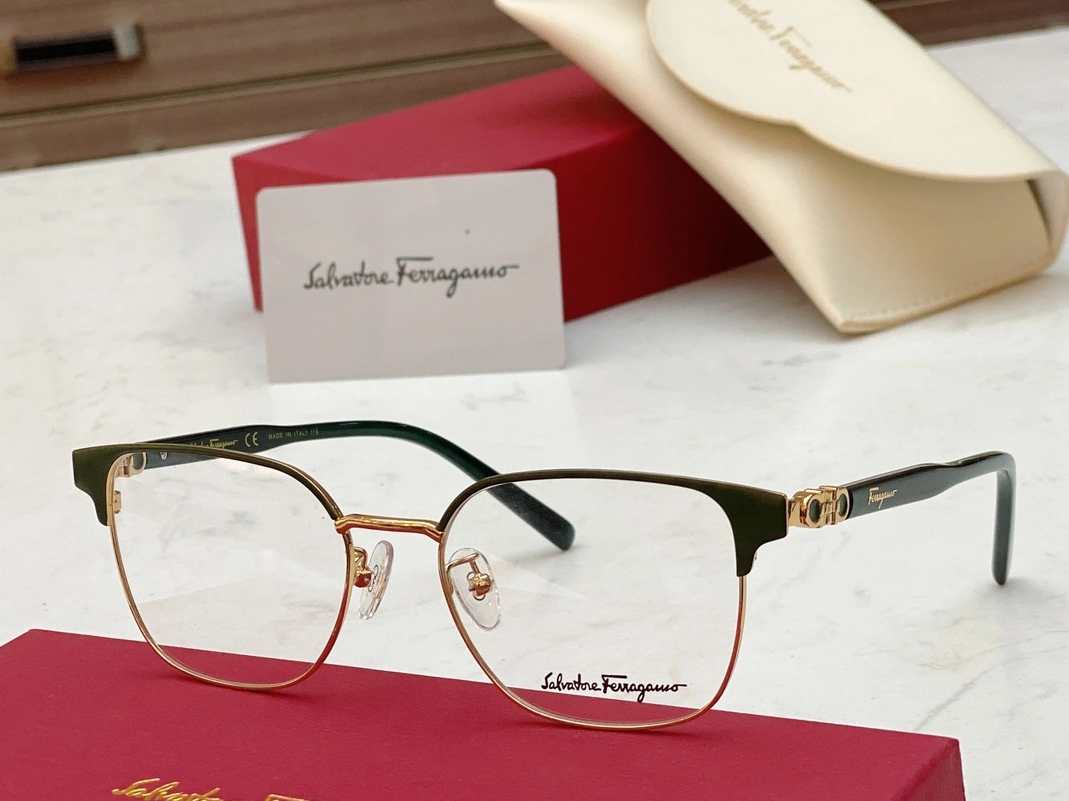 Salvatore Ferragamo Goggles Classic 6082