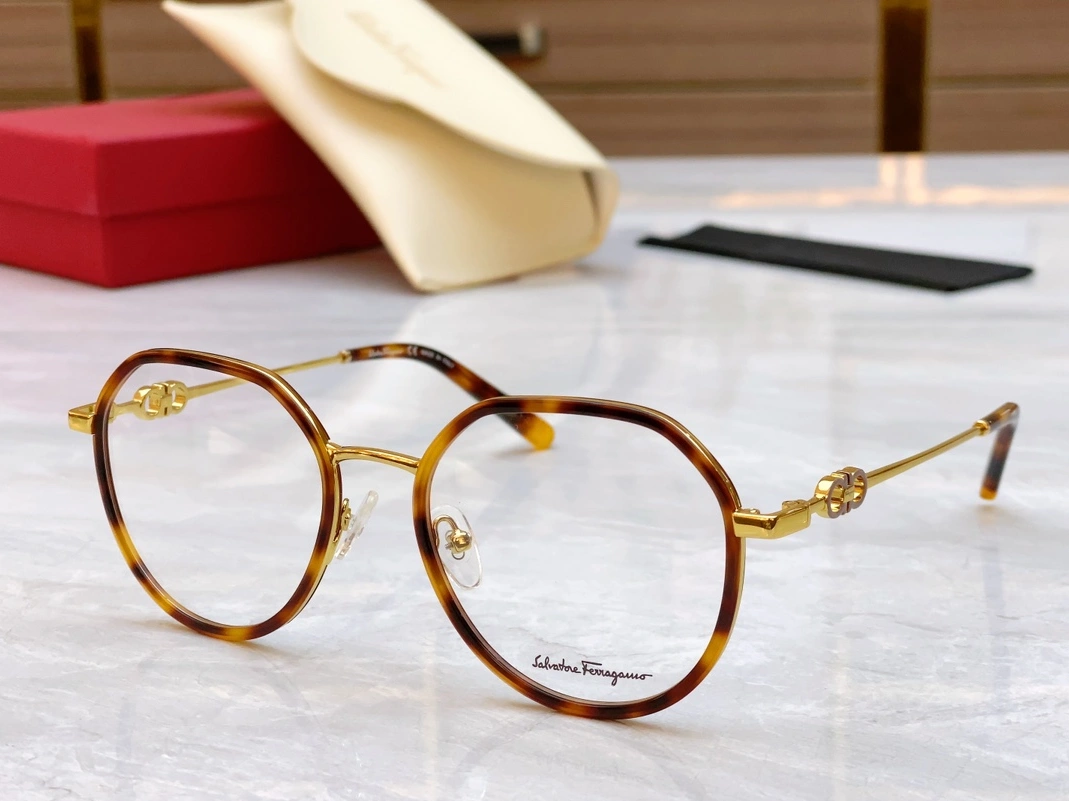 Salvatore Ferragamo Goggles Efficient 5536