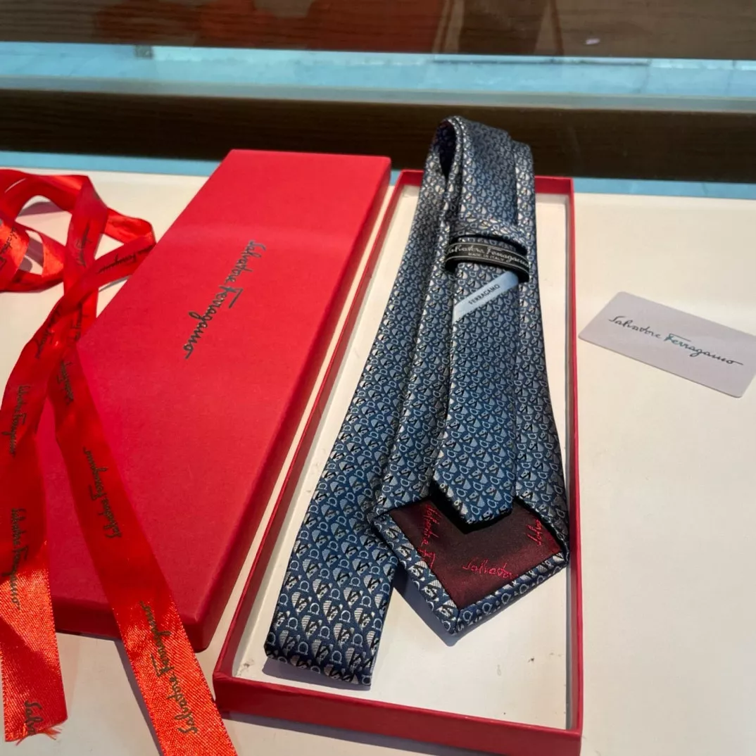 Salvatore Ferragamo Necktie Cozy 397