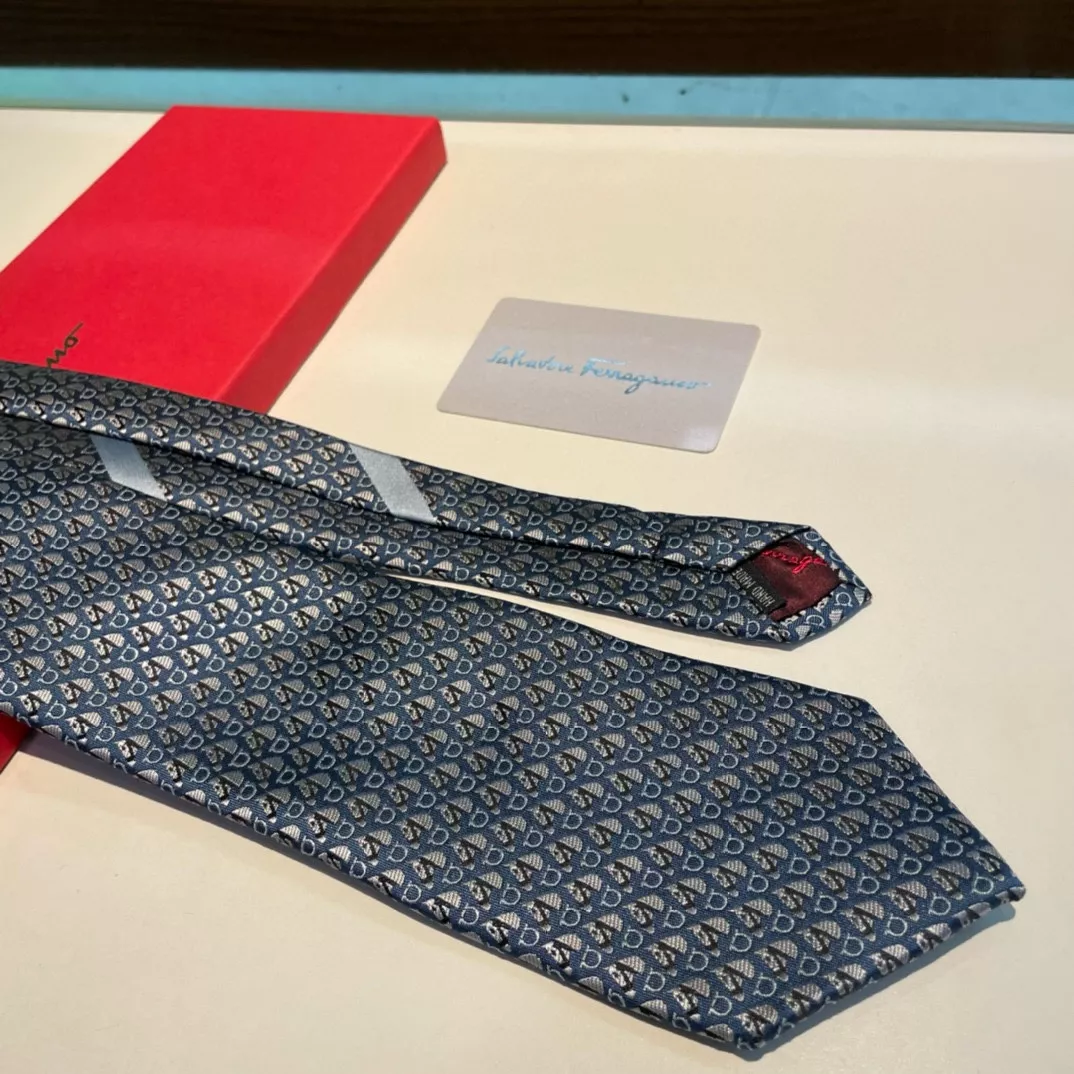 Salvatore Ferragamo Necktie Cozy 397