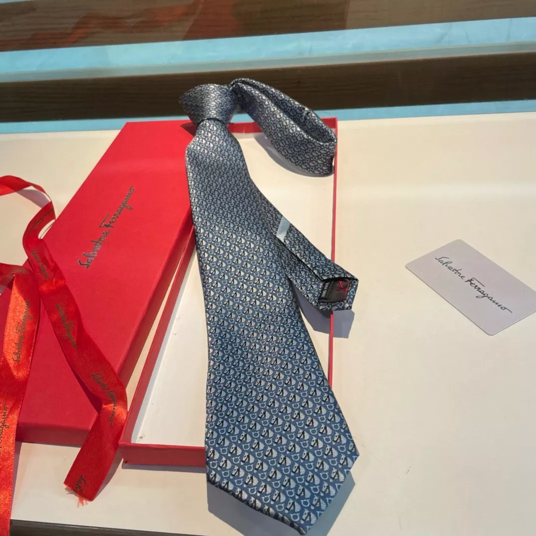 Salvatore Ferragamo Necktie Cozy 397