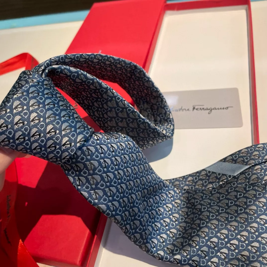 Salvatore Ferragamo Necktie Cozy 397