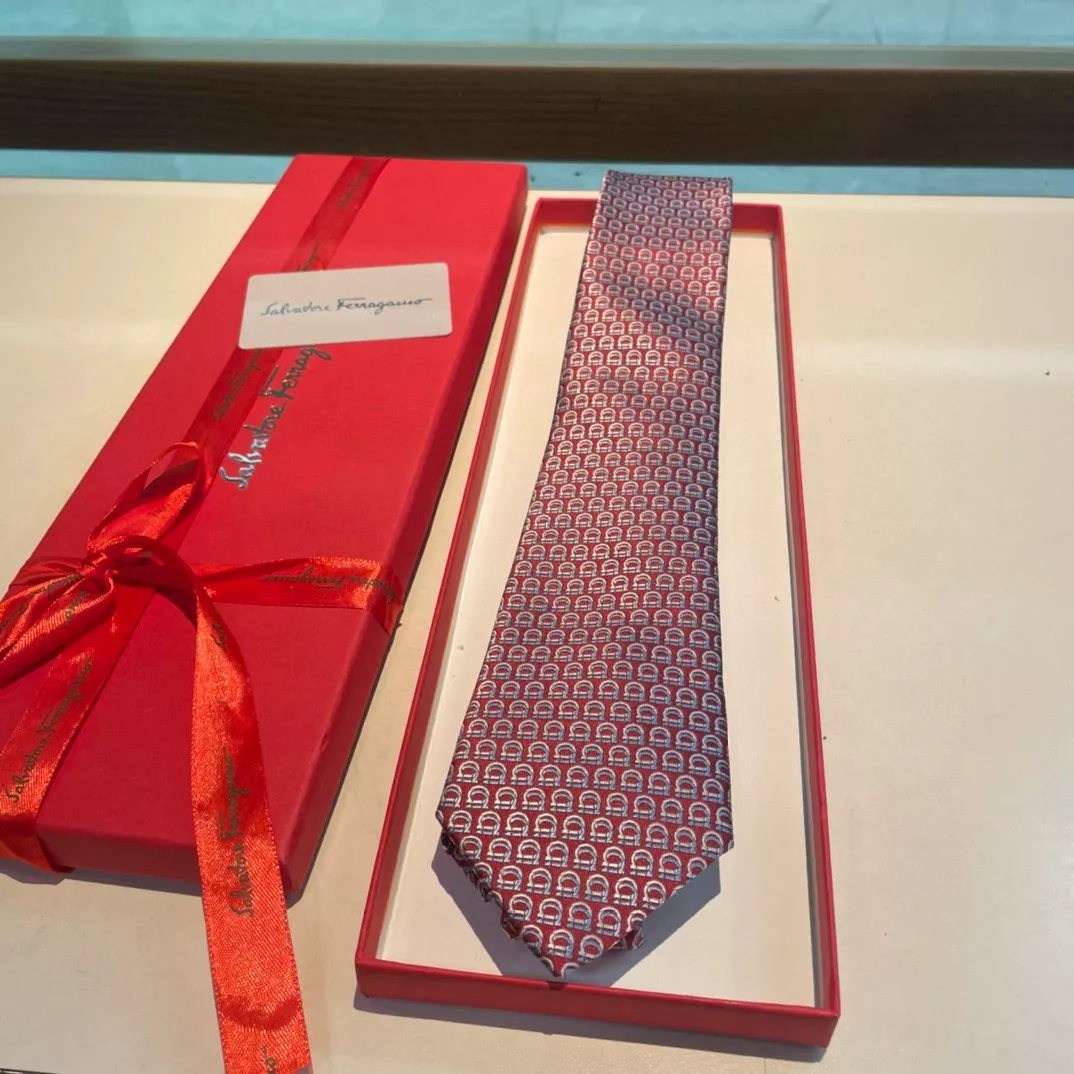 Salvatore Ferragamo Necktie Fashionable 6131