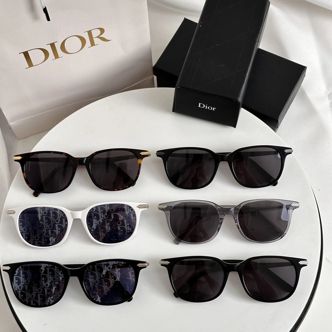 Sleek 1356 Christian Dior AAA Quality Sunglasses
