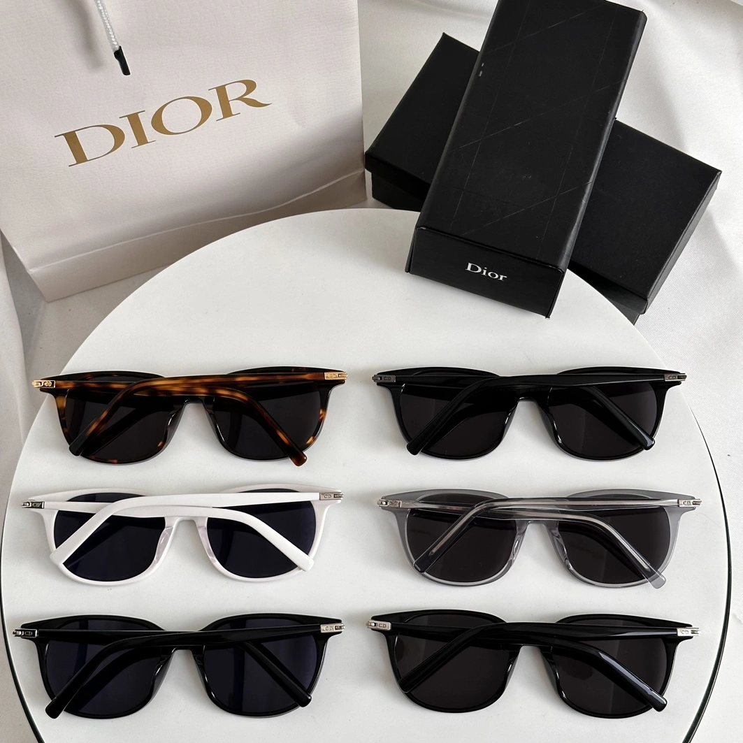 Sleek 1356 Christian Dior AAA Quality Sunglasses