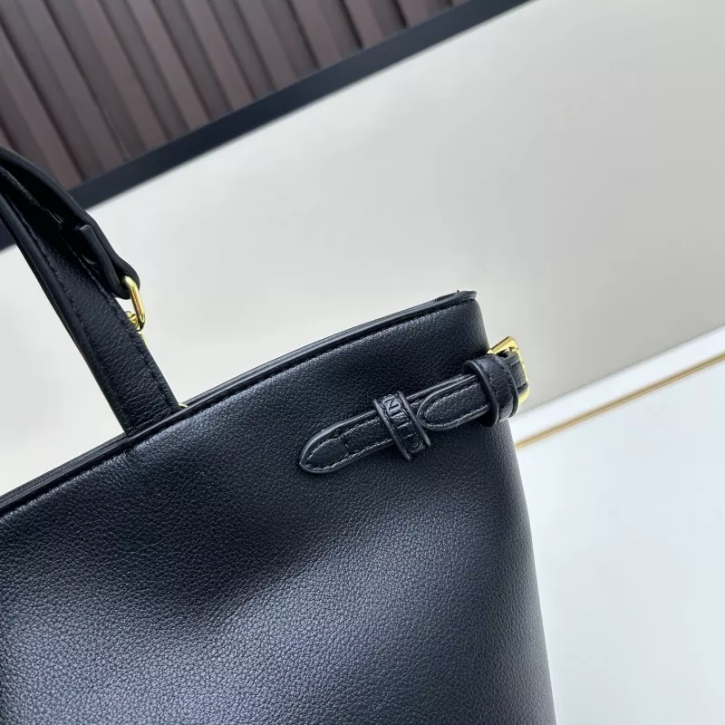 Sleek 3995 Celine AAA Quality Handbags For Women