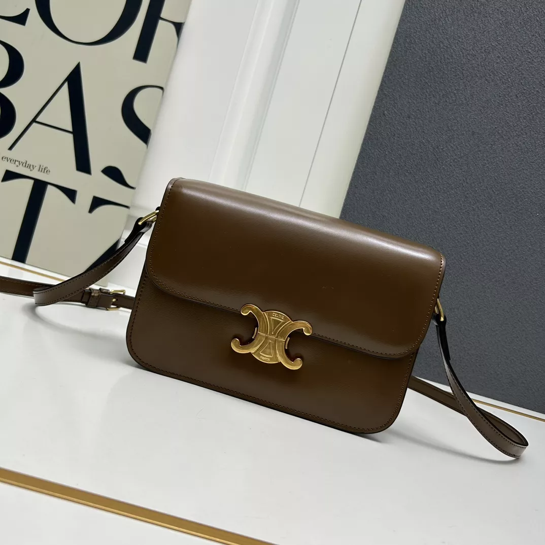 Sleek 4181 Celine AAA Quality Messenger Bags For Women