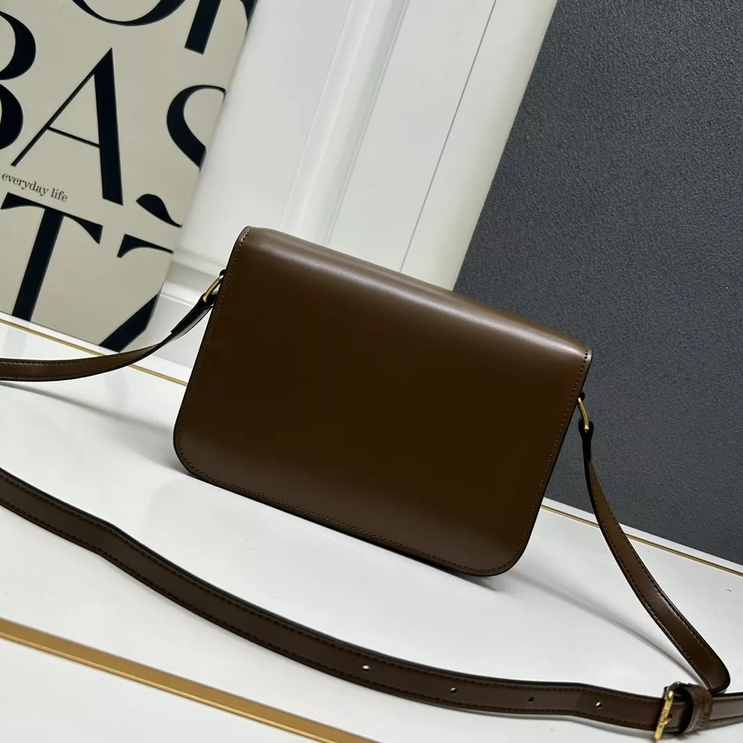 Sleek 4181 Celine AAA Quality Messenger Bags For Women
