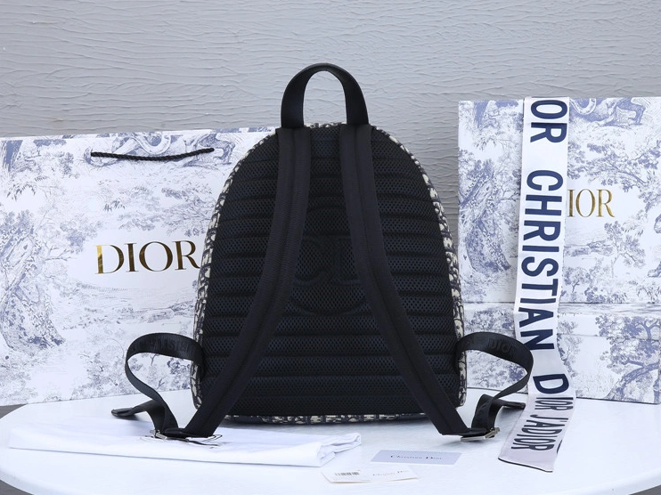 Sleek 6788 Christian Dior AAA Man Backpacks