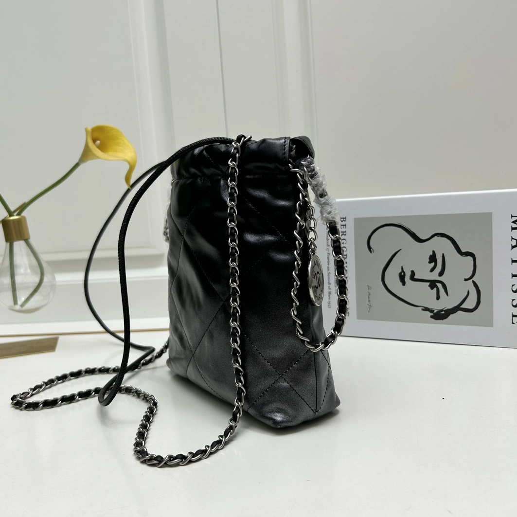 Sleek 8812 Chanel AAA Quality Messenger Bags For Women