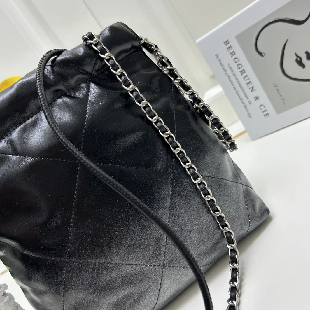 Sleek 8812 Chanel AAA Quality Messenger Bags For Women