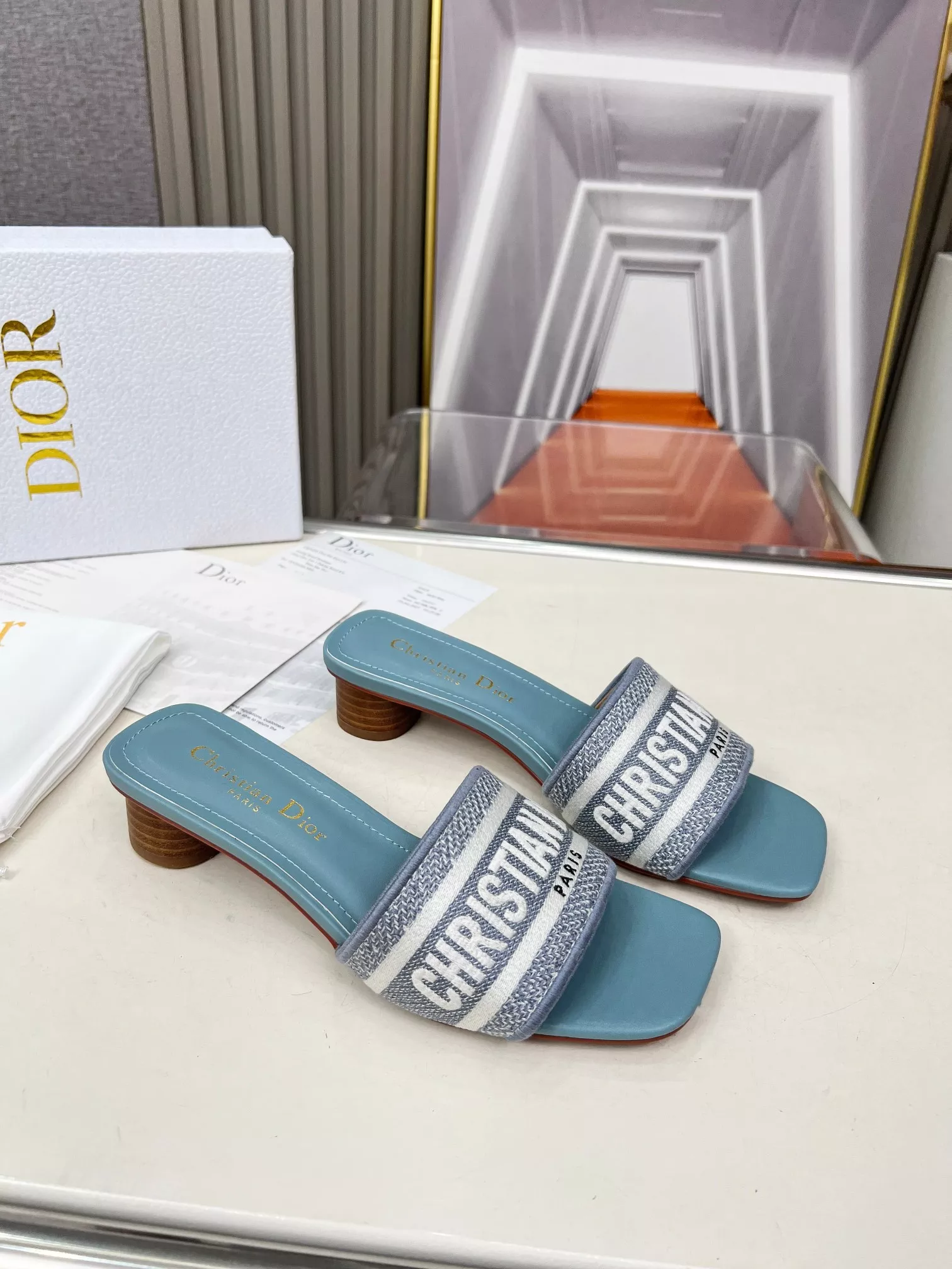 SmartChoice 1007 Christian Dior Slippers For Women
