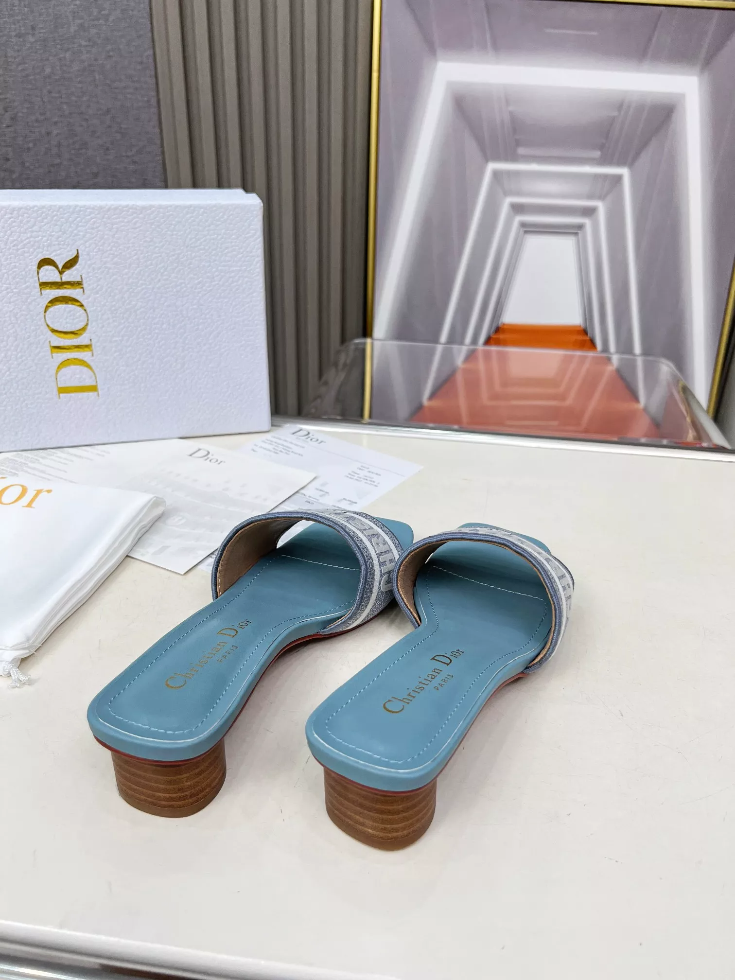 SmartChoice 1007 Christian Dior Slippers For Women