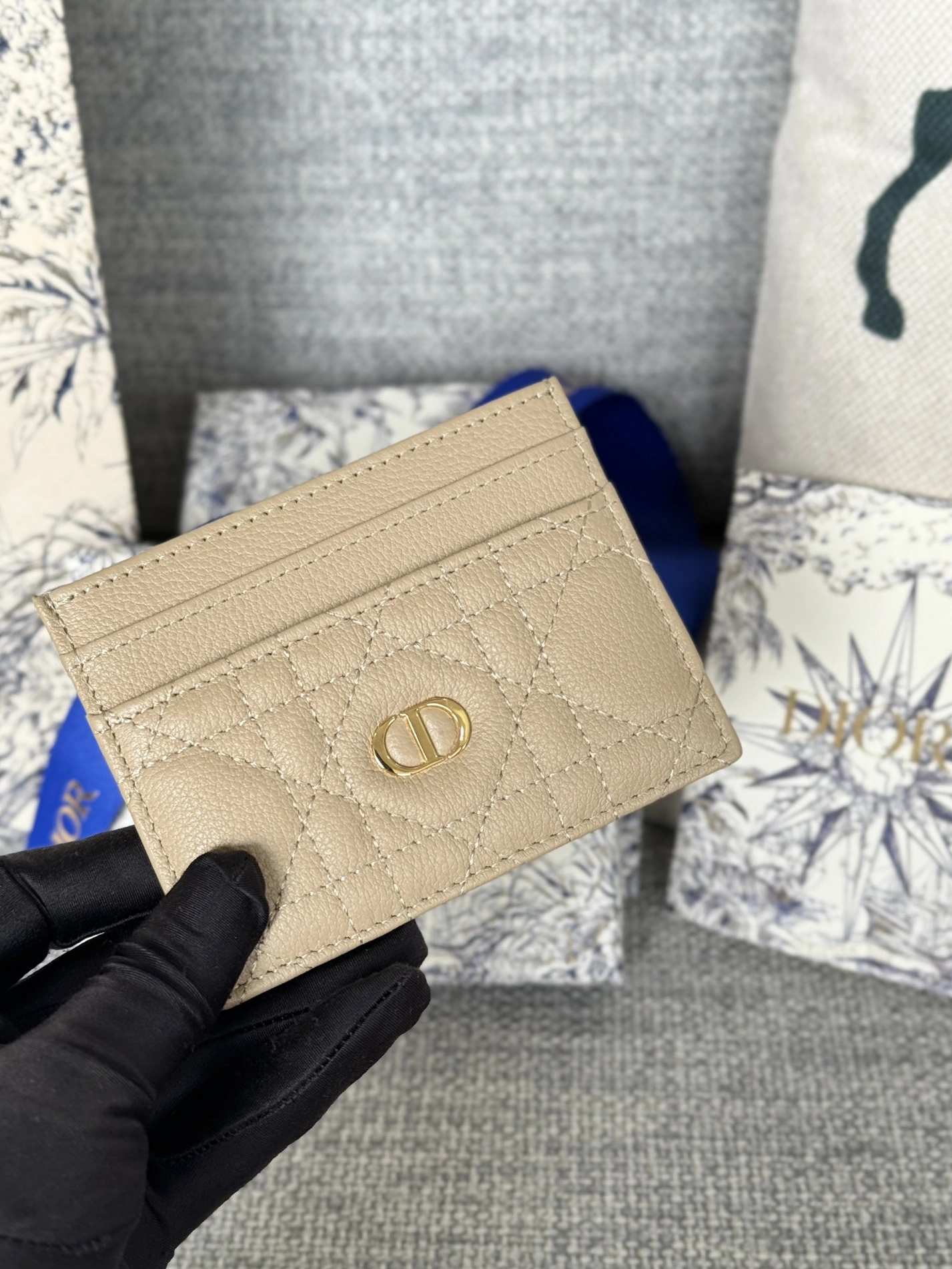 SmartChoice 1859 Christian Dior Card Case