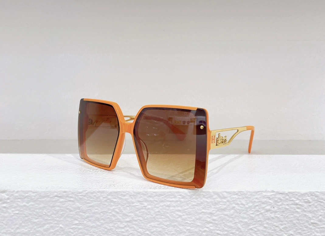SmartChoice 2942 Hermes AAA Quality Sunglasses